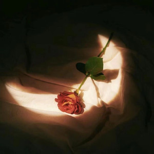 黑人巨粗大吊尻逼亚洲人
