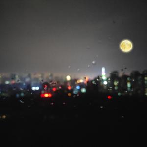 黑人巨粗大吊尻逼亚洲人
